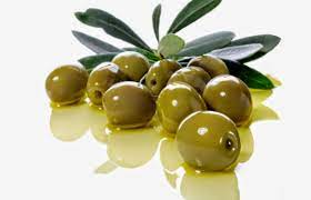 Овошни садници маслинка